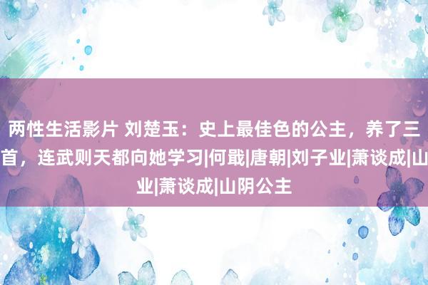 两性生活影片 刘楚玉：史上最佳色的公主，养了三十名面首，连武则天都向她学习|何戢|唐朝|刘子业|萧谈成|山阴公主